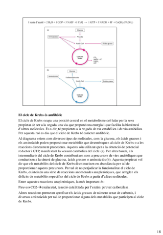 final-bioquimica-38-42.pdf
