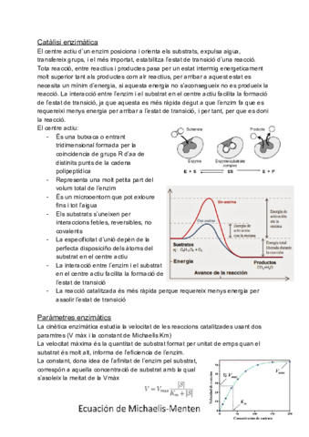 final-bioquimica-12-17.pdf