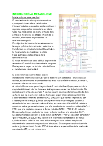 final-bioquimica-1-5.pdf