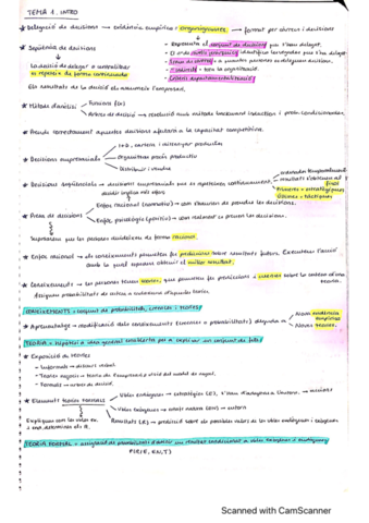 Resum-Disseny-Organitzatiu-1-2.pdf