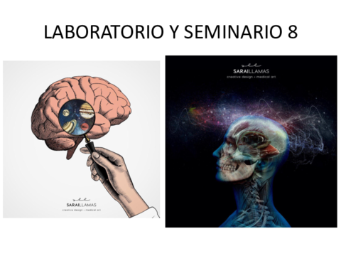 Contenido-laboratorio-y-seminario-3-12-20.pdf