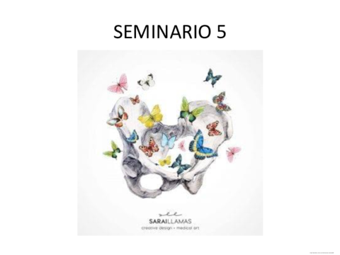 Contenido-seminario-12-11-20.pdf