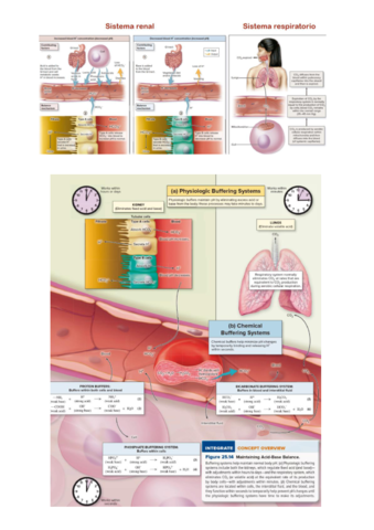 BLOQUE-V.pdf