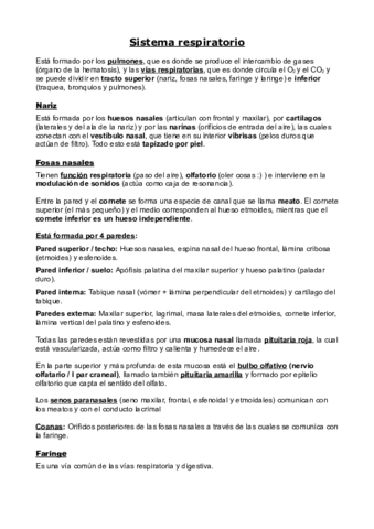 Sistema-respiratorio.pdf