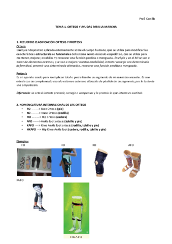 TEMA-1.pdf