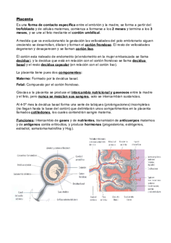 Embriologia.pdf