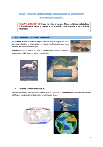 TEMA-7-aplicaciones-al-estudio-del-mvto-animal.pdf