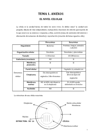 TEMA1.pdf