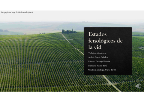 ESTADOS-FENOLOGICOS-DE-LA-VID.pdf