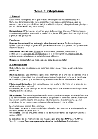 Bases-celulares.pdf