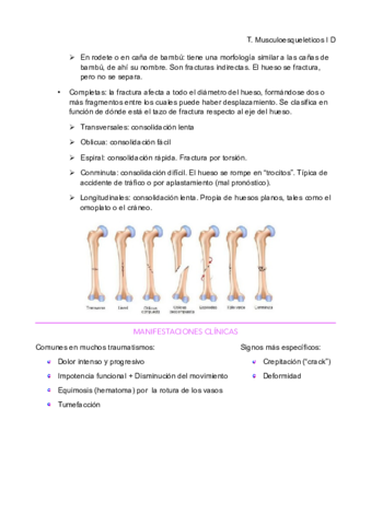 traumatologia-i-reumato-10-14.pdf