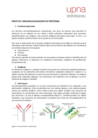 ProtocoloeICQ.pdf