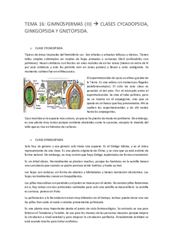 BOTANICA-FINAL6.pdf