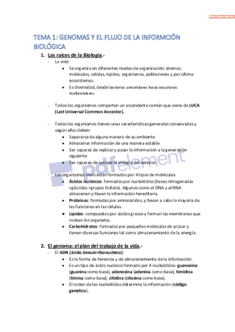 Tema-1-apuntes.pdf