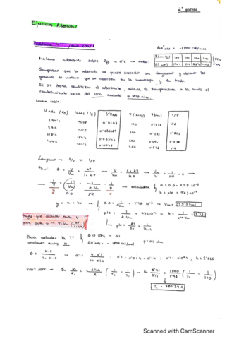 ADSORCION-ejercicios-de-examenes.pdf