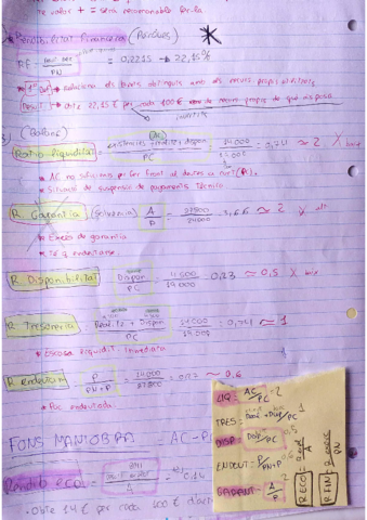 Ratios-financieros.pdf