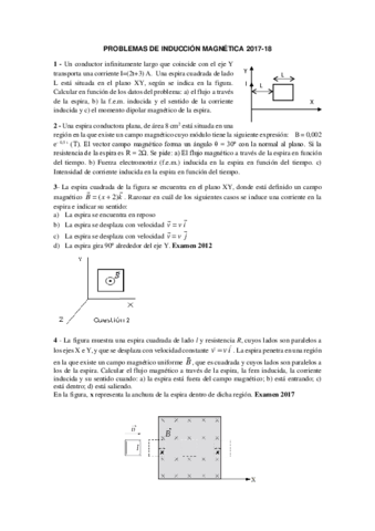 Induccion.pdf