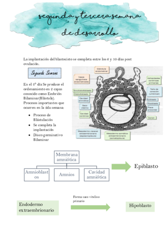Segunda-y-tercera-semana-del-desarrollo-embrionario.pdf