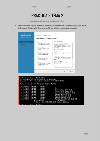 PRACTICA-3-TEMA-2.pdf