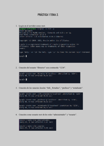 PRACTICA-1-TEMA-2.pdf