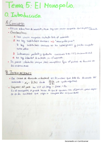 Tema-5-Micro-II.pdf