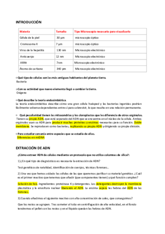 ACTIVIDADES.pdf