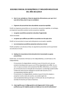 Examen 20_01_2013.pdf