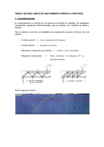 Tema-5-Estado-limite-de-agotamiento-frente-a-cortante.pdf