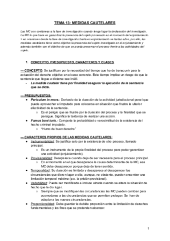 TEMA-13-derecho-penal-procesal.pdf