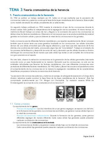 Tema-3.pdf