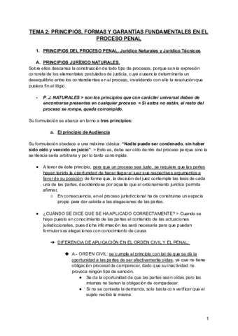 TEMA-2-principios-formas-y-garantias-en-el-proceso-penal.pdf