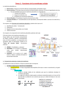 Tema 1- Funciones de la membrana celular.pdf