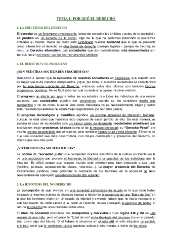 TEMA-9-El-Derecho-como-argumentacion.pdf