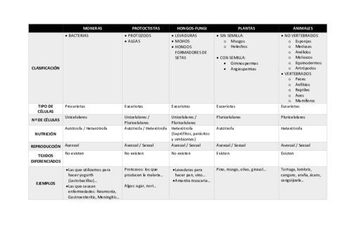 Puzzle-Tabla-Reinos-1.pdf