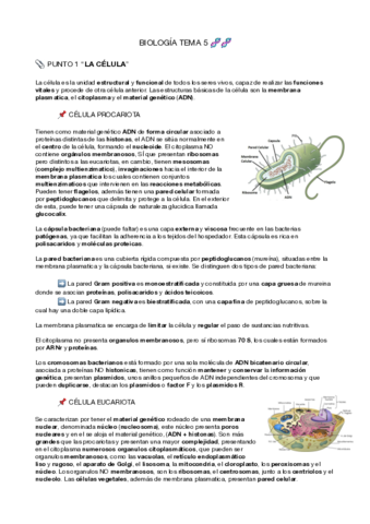 Metabolismo, Celulas y Virus.pdf