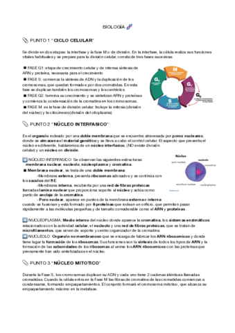 Ciclo celular, mitosis y meiosis.pdf