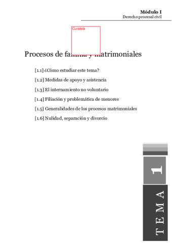 tema1.pdf