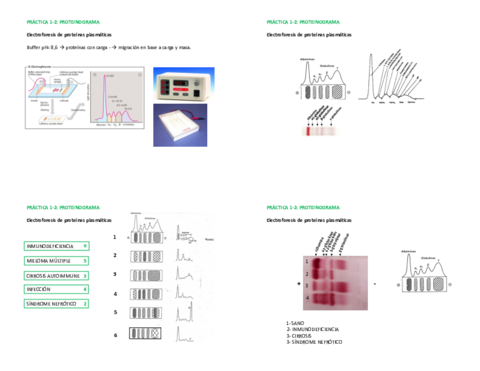 Practicas-bioq-repaso-final.pdf