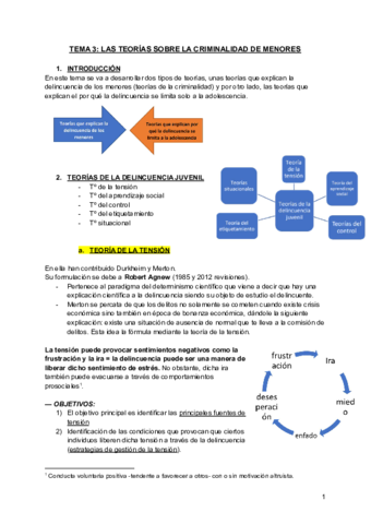 TEMA-3-apuntes-clase-delincuencia-y-responsabilidad-penal-de-menores.pdf