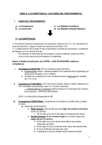 TEMA-9-delincuencia-y-responsabilidad-penal-de-menores.pdf