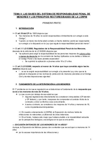 TEMA-5-apuntes-clase-delincuencia-y-responsabilidad-penal-de-menores.pdf
