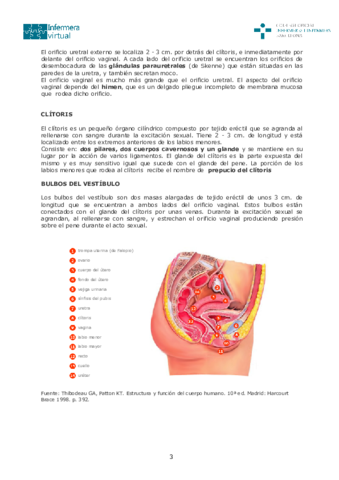 Sistema-reproductor-femenino1-3-4.pdf