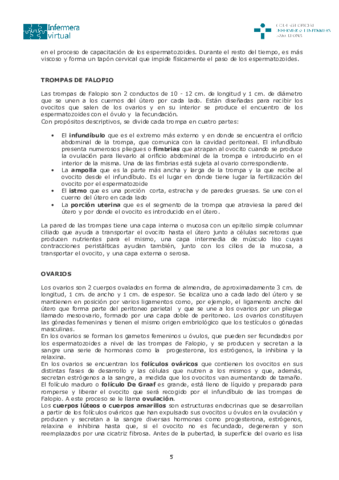 Sistema-reproductor-femenino1-5-6.pdf