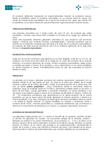 Sistema-reproductor-masculino1-5-6.pdf