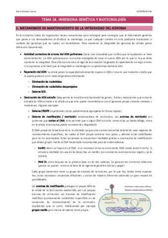 Tema-18.pdf
