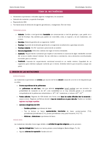 Tema-16.pdf