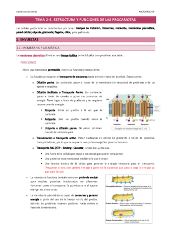 Tema-2-4.pdf