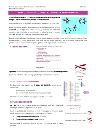 Tema-7.pdf