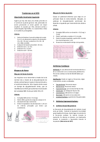 Semiologia.pdf
