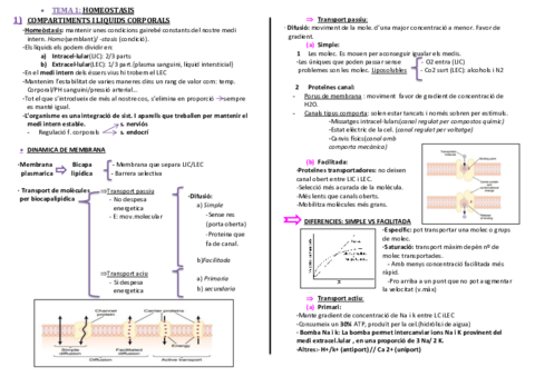 fisiologia-homeostasis-catalc3a0-1-3.pdf